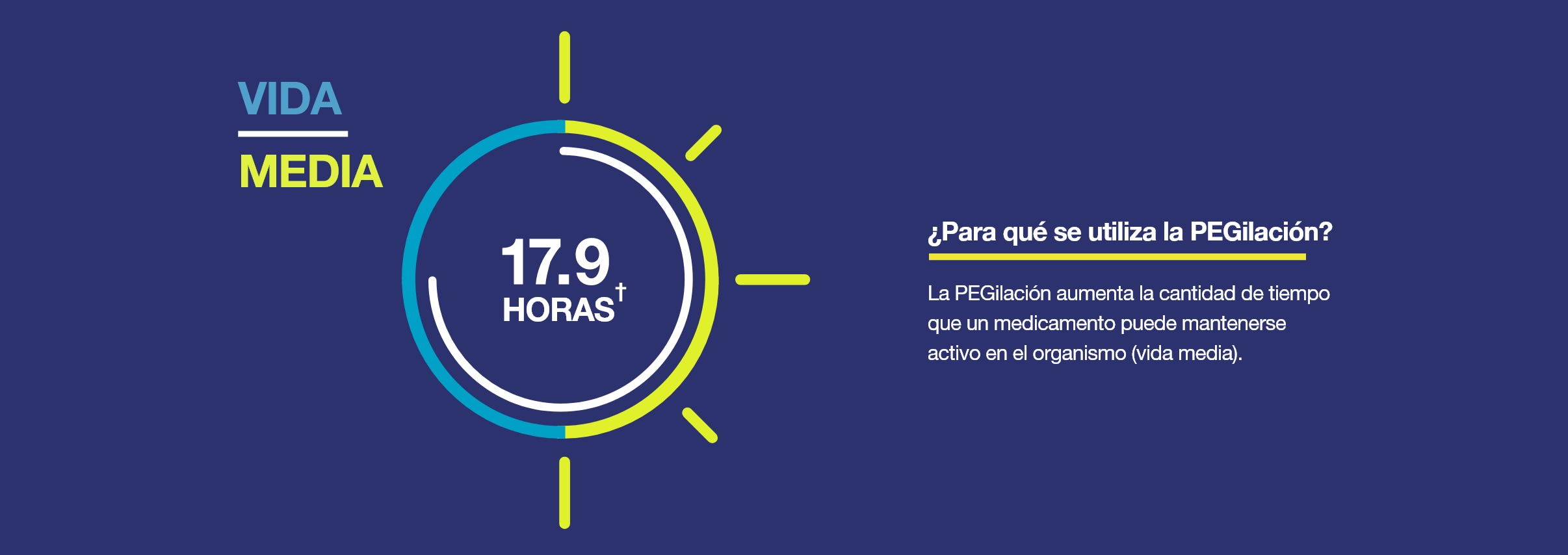 Semivida de 17.9 horas