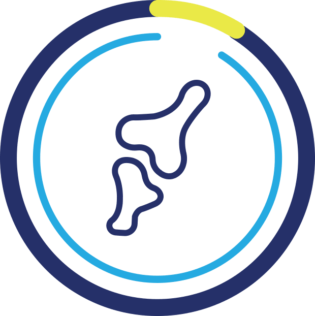 Imagen gráfica que representa un hueso.