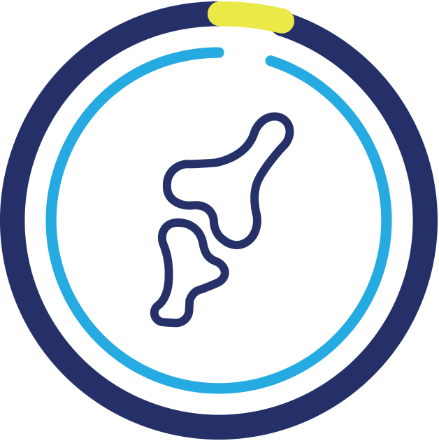 Imagen gráfica que representa un hueso.